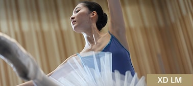 Imagen de ejemplo en la que se muestra a una bailarina con un leotardo azul y un tutú blanco, que posa con una pierna levantada